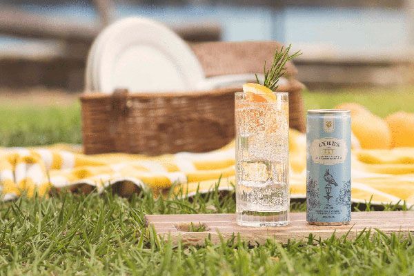 Hoe noem je een alcoholvrije Gin Tonic?